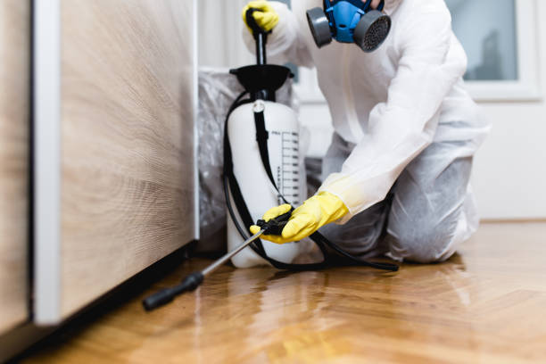 Best Best Pest Control Companies  in West Monroe, MI