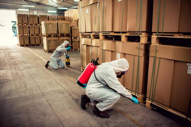 Professional Pest Control in West Monroe, MI