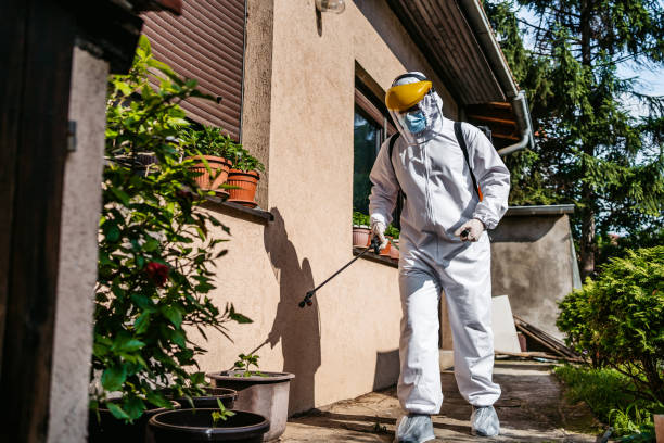 Best Mosquito Control Services  in West Monroe, MI