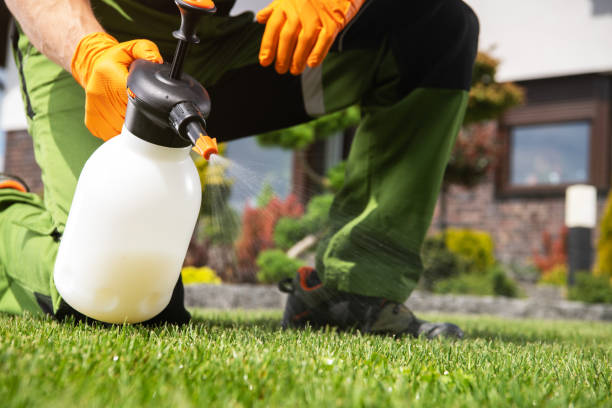 Best Residential Pest Control  in West Monroe, MI