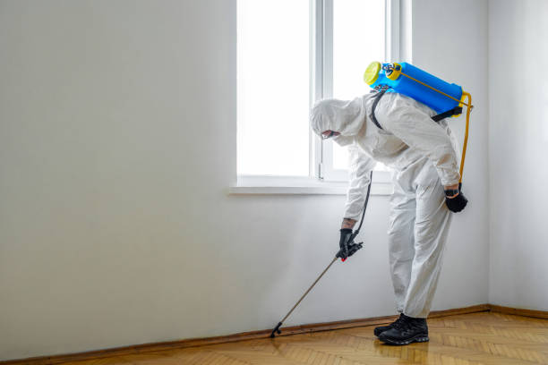 Best Pest Prevention Services  in West Monroe, MI