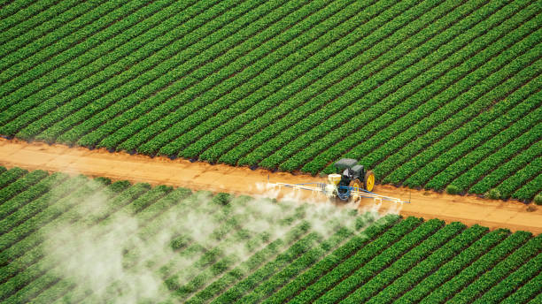 Best Pest Removal Services  in West Monroe, MI