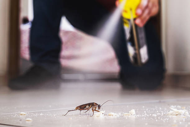 Best Mosquito Control Services  in West Monroe, MI